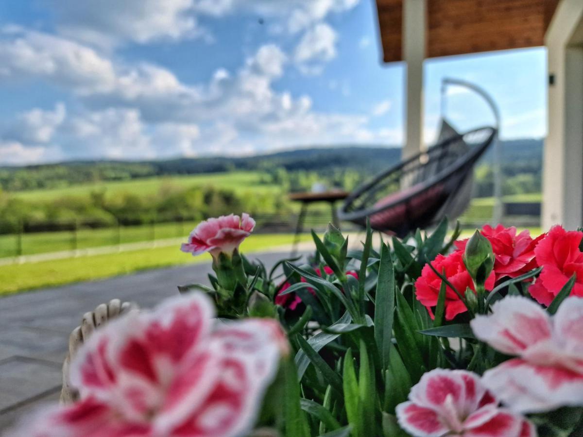 Lackowa Chill And Rest Dom Z Balia Krynica Zdroj Uscie Gorlickie Экстерьер фото